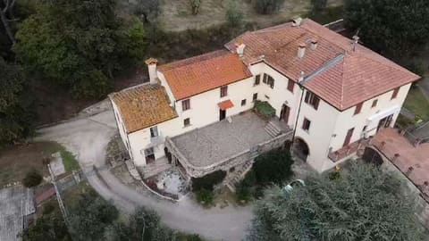 Photo of the lot 2