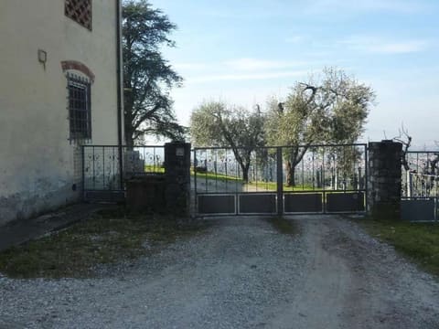 Photo of the lot 5