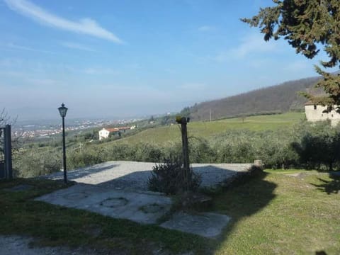 Photo of the lot 6