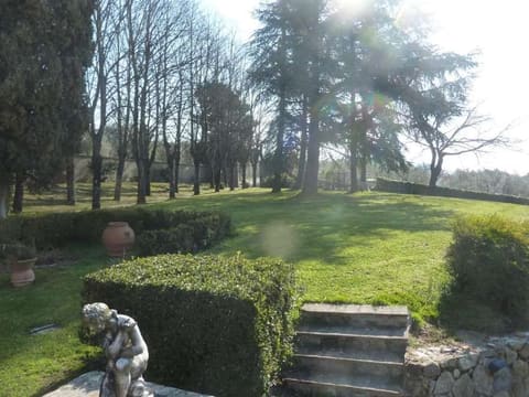 Photo of the lot 8