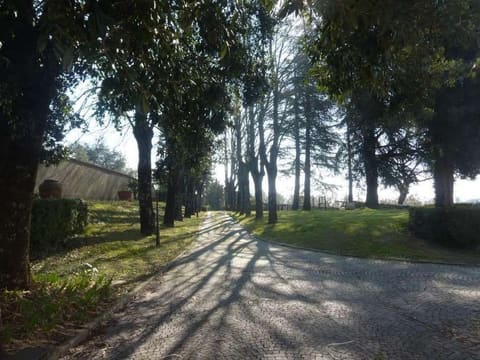Photo of the lot 9