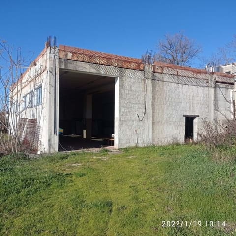 Photo of the lot 2