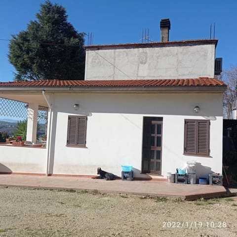 Photo of the lot 3