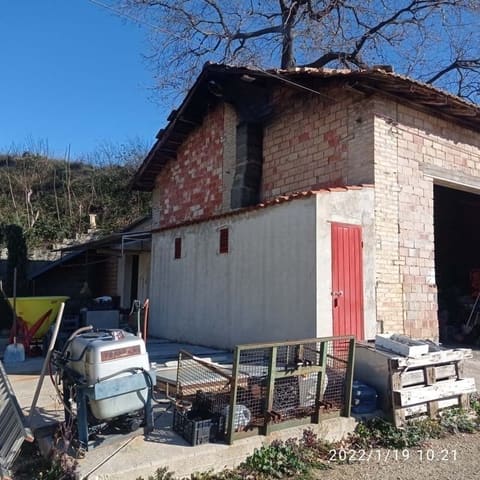 Photo of the lot 4