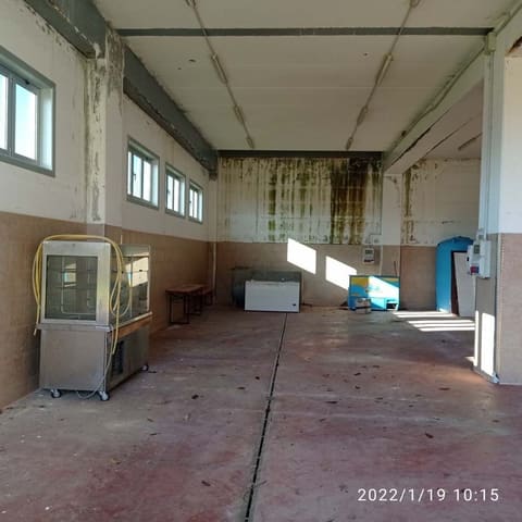 Photo of the lot 6
