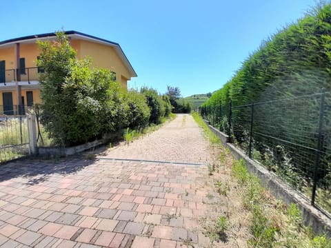 Photo of the lot 6