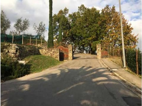 Photo of the lot 2