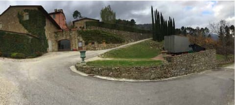 Photo of the lot 5