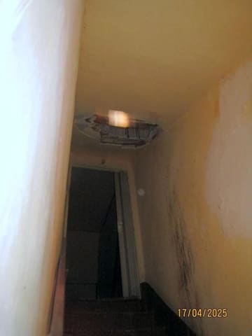 Photo of the lot 6