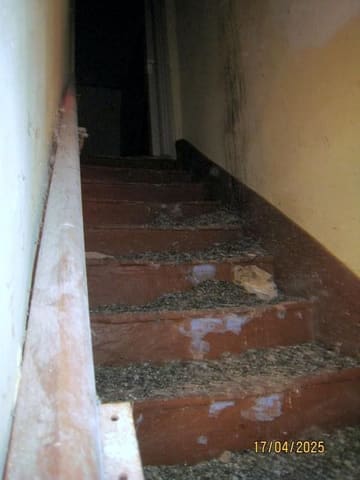 Photo of the lot 5