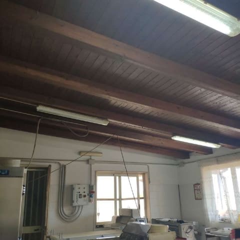 Photo of the lot 6