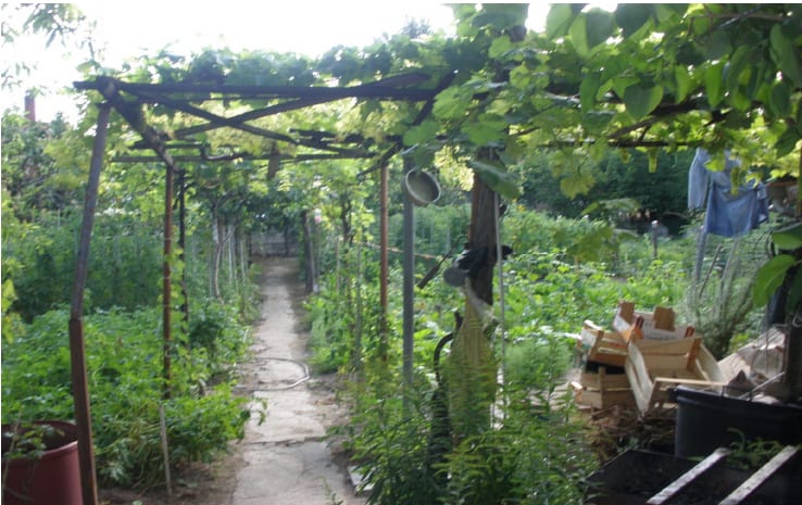 Photo of the lot: Immobile residenziale in Avezzano