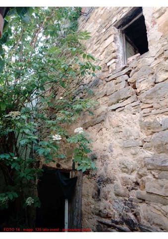 Photo of the lot 6