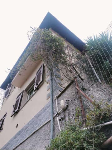 Photo of the lot 3