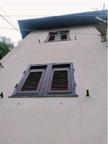 Photo of the lot 4