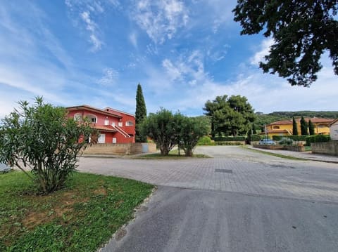 Photo of the lot 2