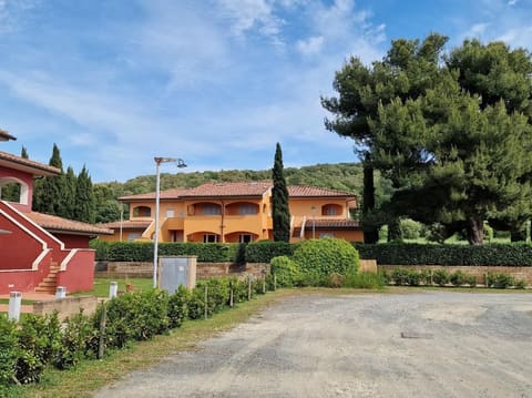 Photo of the lot 5