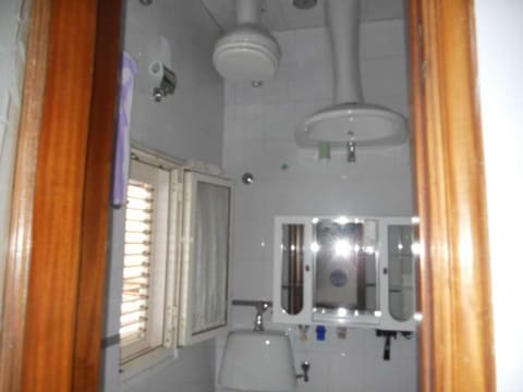 Photo of the lot 3