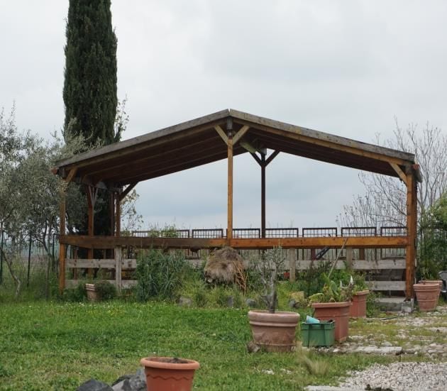 Photo of the lot: Altra categoria in Lavello