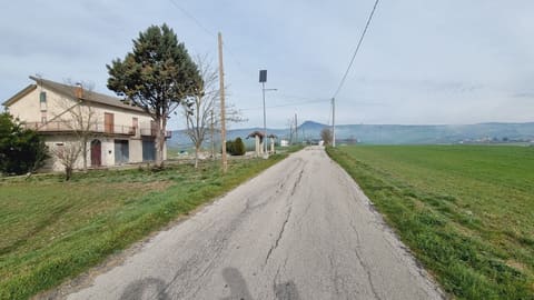 Photo of the lot 2