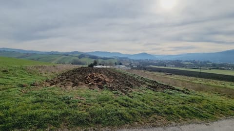 Photo of the lot 4