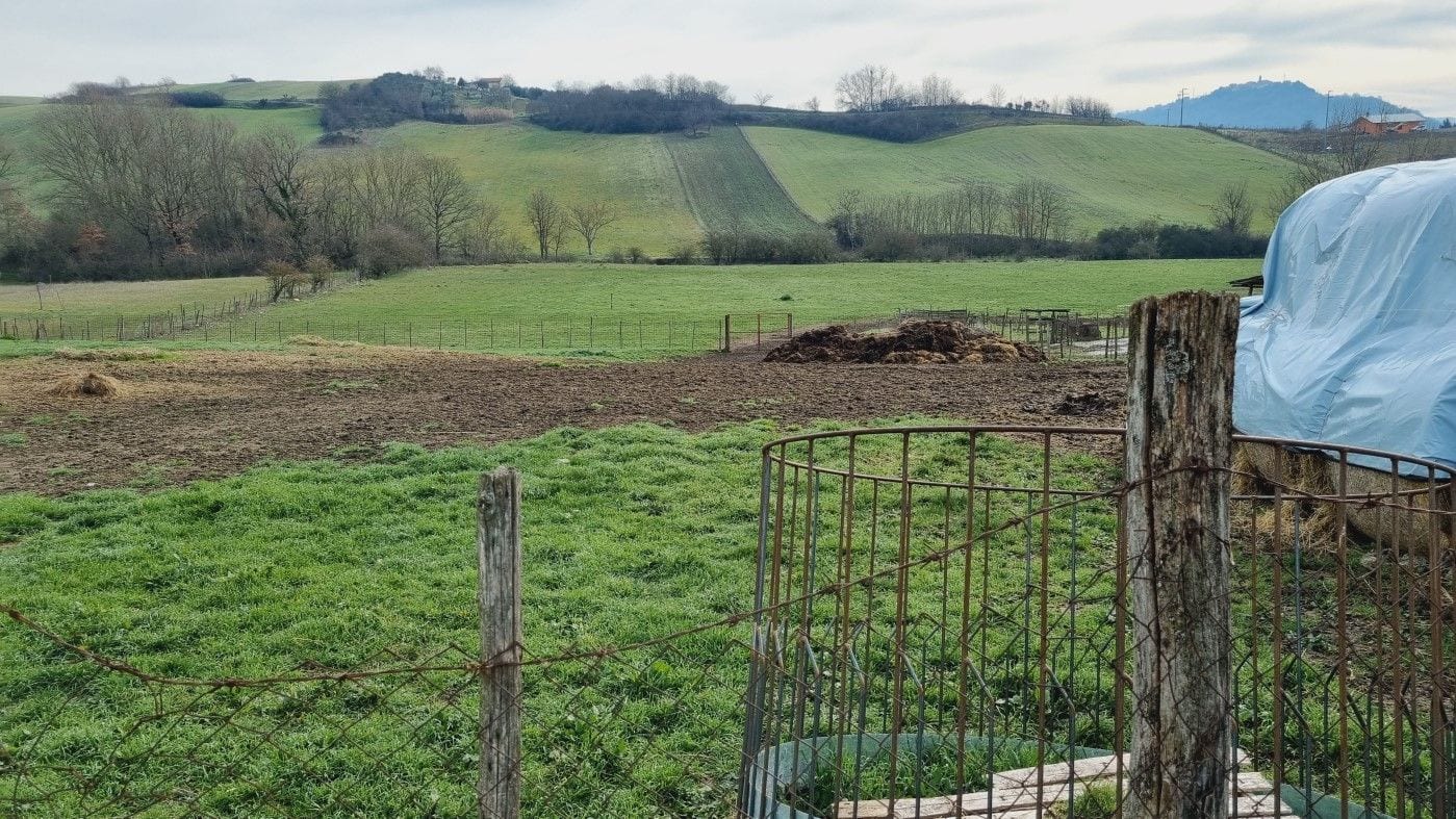 Photo of the lot: Altra categoria in Baragiano