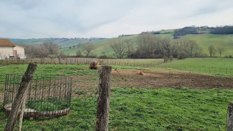 Photo of the lot 3