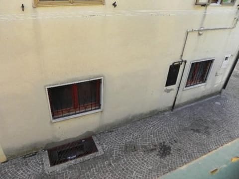 Photo of the lot 4