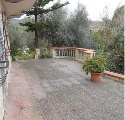 Photo of the lot 2