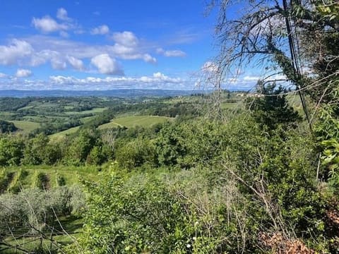Photo: Altra categoria in Montespertoli (FI)