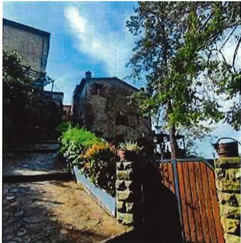 Photo of the lot 3