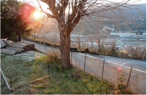 Photo of the lot 3