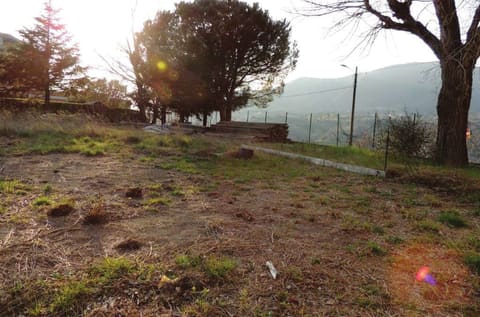 Photo of the lot 4