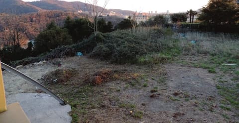 Photo of the lot 5
