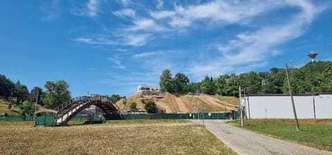 Photo of the lot 5