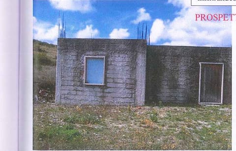 Photo of the lot 8