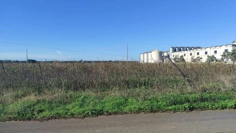 Photo of the lot 2