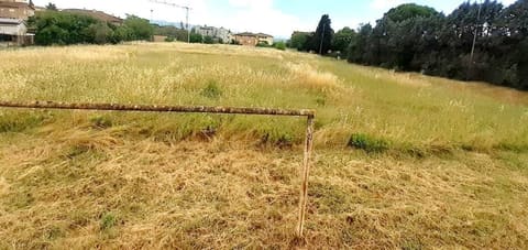 Foto: Altra categoria a Fratta Todina (PG)