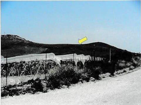 Photo: Altra categoria in Ravanusa (AG)