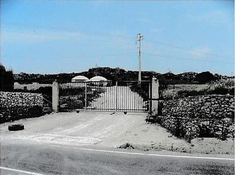 Photo of the lot 2