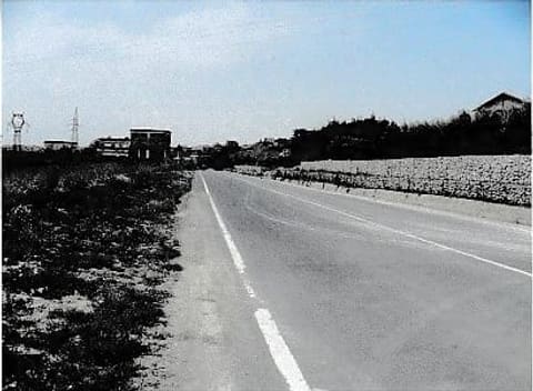 Photo of the lot 3