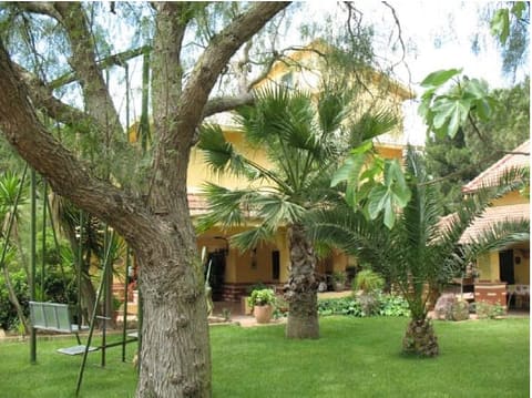 Photo of the lot 2