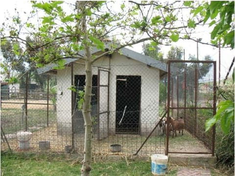 Photo of the lot 5