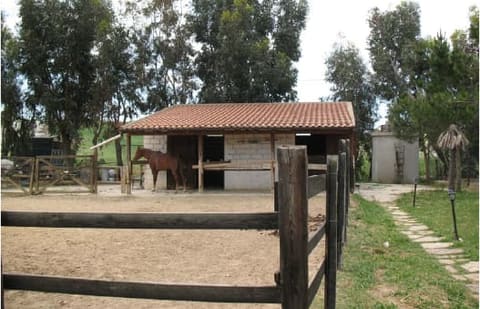 Photo of the lot 6