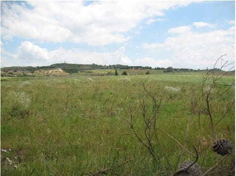 Photo of the lot 8