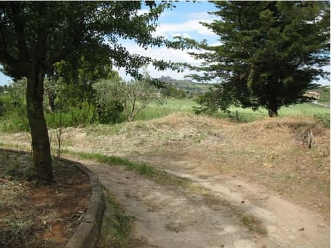 Photo of the lot 9