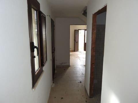 Photo of the lot 9