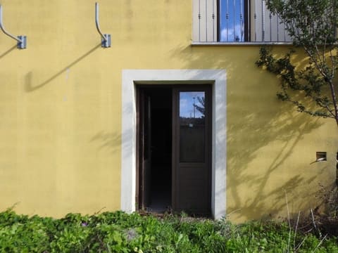 Photo of the lot 5