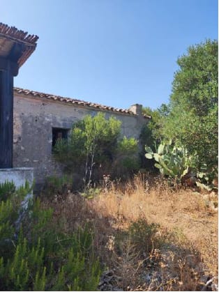 Photo of the lot: Immobile residenziale in Palau