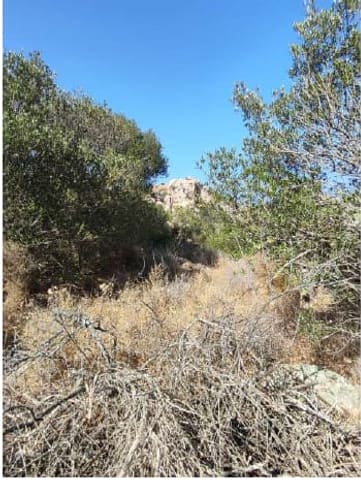Photo of the lot 6